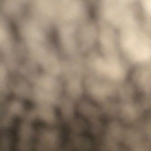 Meet your Posher, Bridget